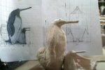 Concept original d'un Pinguoin / Crocodile Gavial Sculpture en plastiline