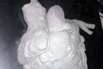 Coeur Humain en Plastiline